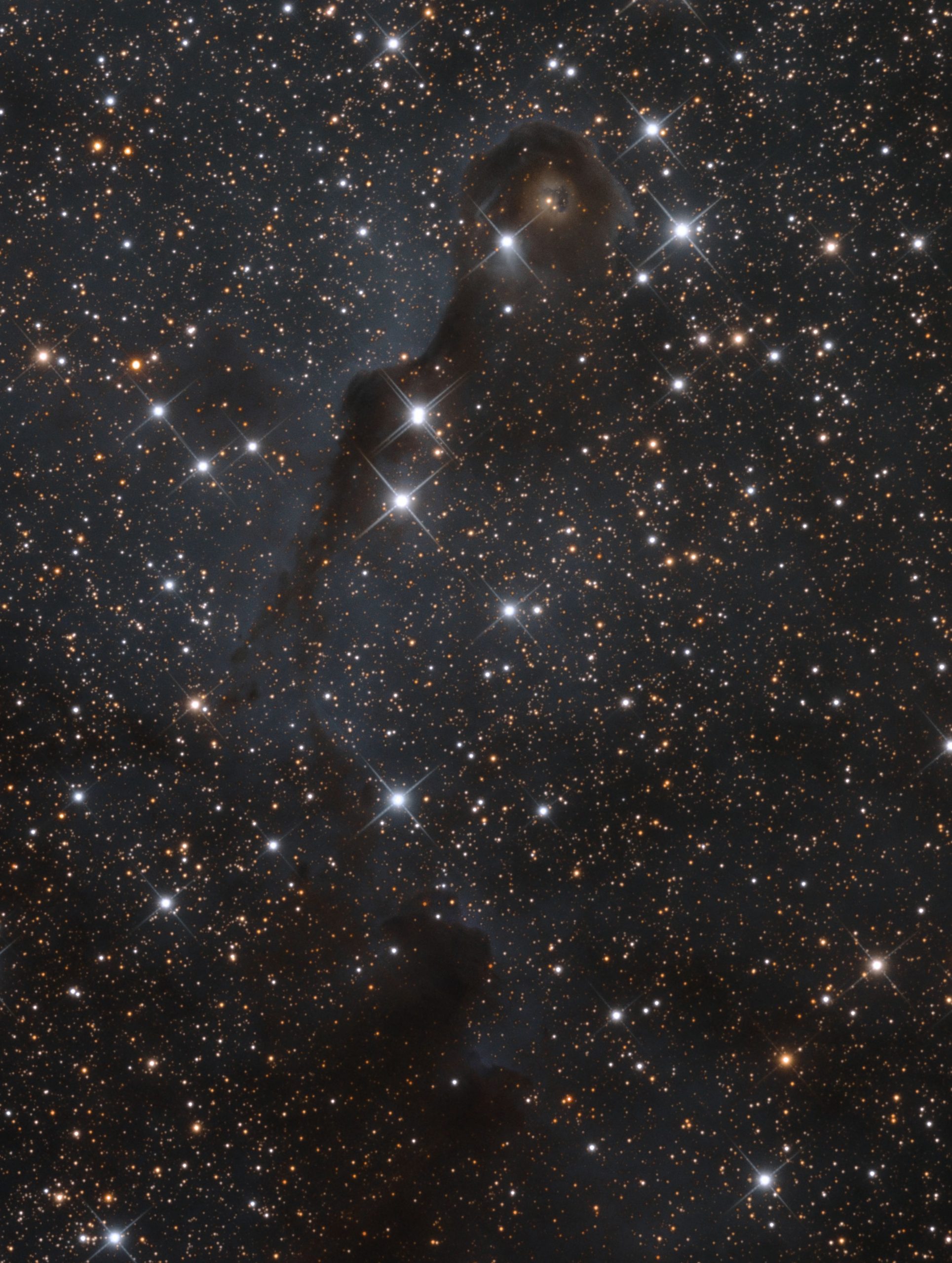 NIR_Chobot2018b2 - web